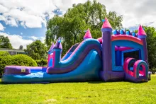 Mega Pink Princess Combo